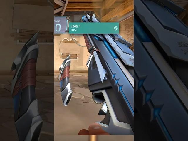 Random Skins on VALORANT in Level 1 | Kuronami Vandal