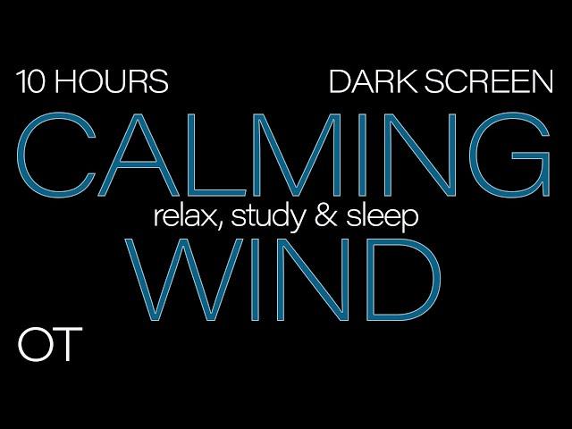 CALMING WIND Sounds for Sleeping| Relaxing| Studying| BLACK SCREEN| Real Storm Sounds| SLEEP SOUNDS