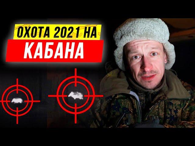 Охота на КАБАНА с вышки. Ночная охота на кабана с вышки зимой 2021.