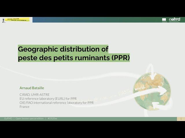 Geographic distribution of peste des petits ruminants (PPR)