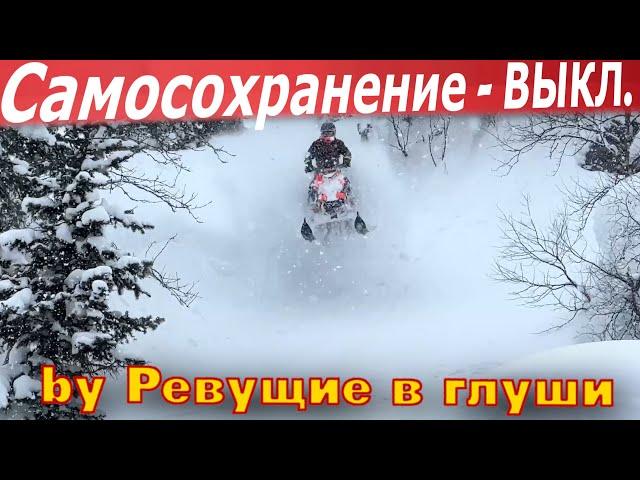 Снегоходы в руках Профи! Эд Кедринский, Эркин, и я от страха влупил в дерево!