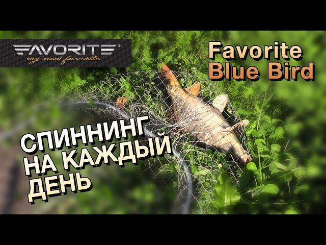 Спиннинг на каждый день: Favorite Blue Bird Compact