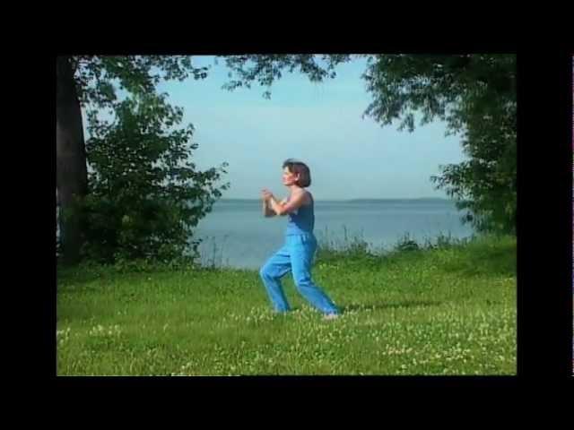 Yang Style Tai Chi, Cheng Man Ch'ing  Form Demonstration