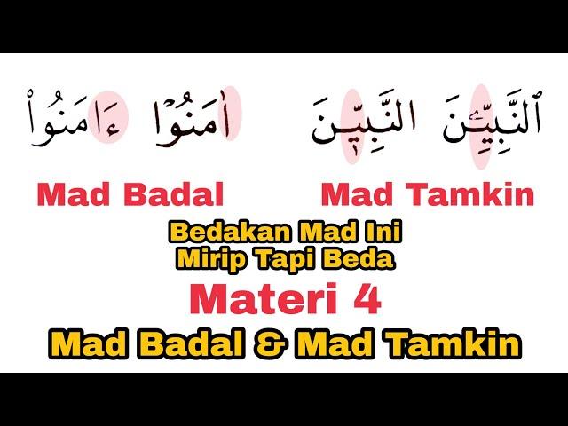 Belajar Mad Badal & Mad Tamkin Untuk Pemula + Contoh & Praktek di Qur'an Cetakan Madinah & Indonesia