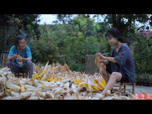 Golden season,full of pleasure of harvest and sweetness of corn | Liziqi Channel