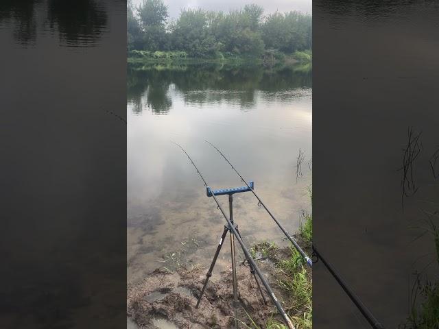 Начало рыбалки на Днепре #рыбалка #fishing #фидер #днепр