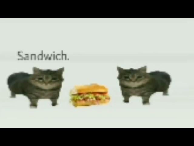 sandwich.