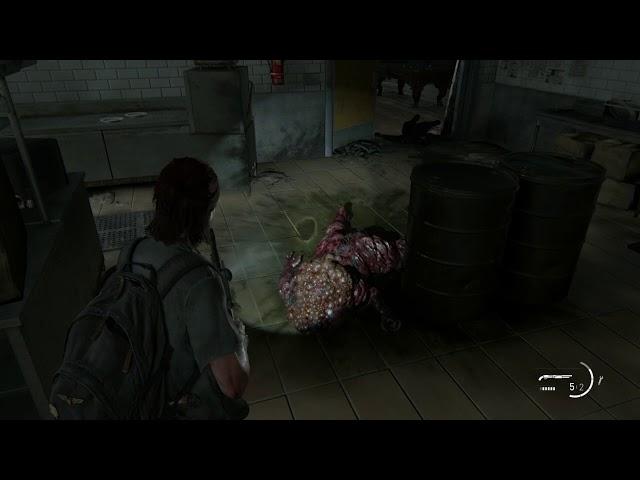 The Last of Us™ Parte II the Shander