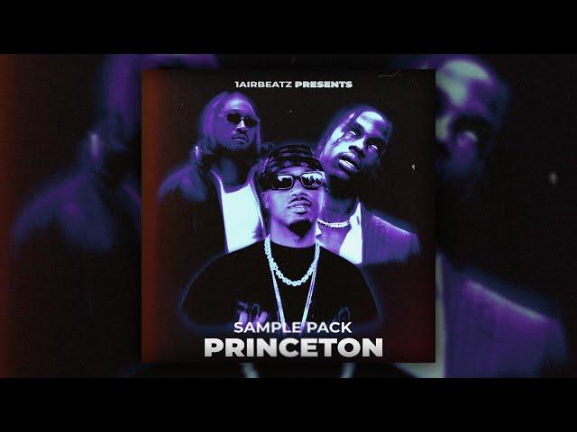 [FREE] SOUTHSIDE LOOP KIT - "PRINCETON" | FUTURE, CUBEATZ, EST GEE DARK LOOP KIT | 808 MAFIA LOOPKIT