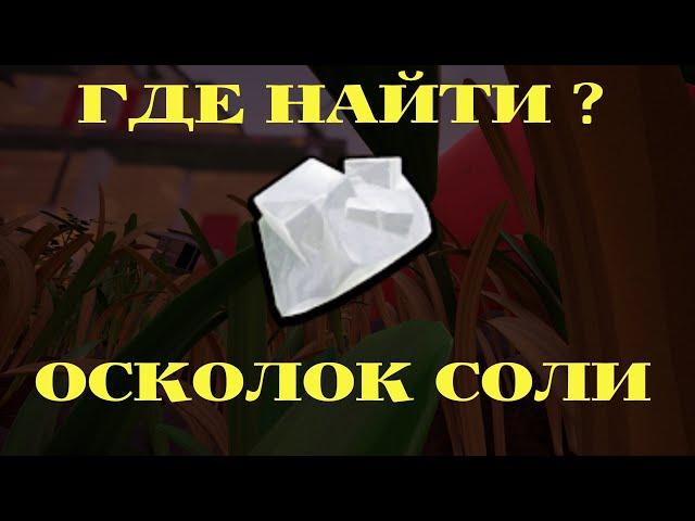 ГДЕ НАЙТИ ОСКОЛОК СОЛИ GROUNDED