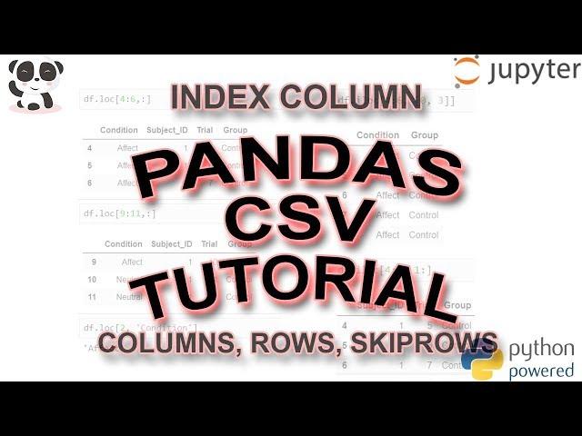 Pandas Read CSV Tutorial: skiprows, usecols, missing data + more