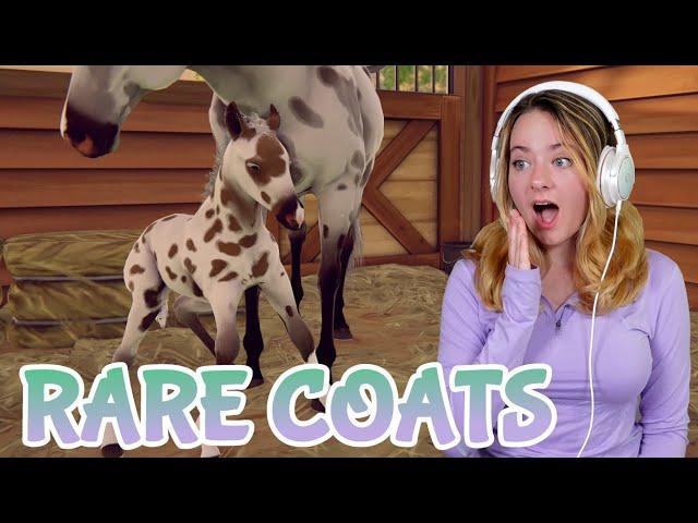 BREEDING STUNNING RARE COATS + FOALS! - Rival Stars Horse Racing | Pinehaven