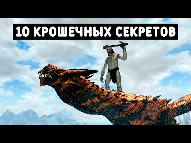 Skyrim 10 Маленьких Деталей в The Elder Scrolls V: Skyrim Special Edition ( Секреты 374 )