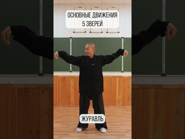 5 зверей Шаолиня: базовые движения рук #цигун #shorts  #kungfu