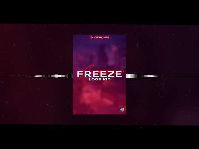 (FREE) "Freeze" Loop Kit (Gunna, Roddy Ricch, Young Thug, Lil Baby, Lil Keed, YSN Flow, Melvoni)