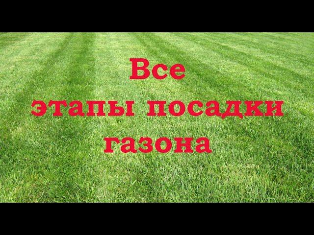 Основные Этапы посадки Газона. Посадка газона. Газон своими руками. Как правильно посадить газон.