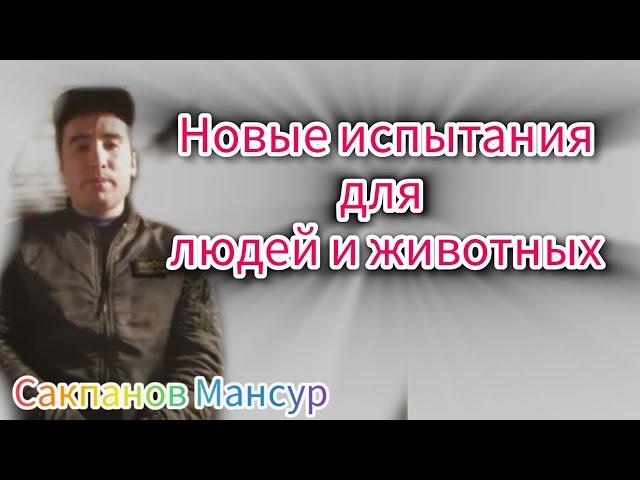 Лагерь пыток и живодёрня имени Мансура.