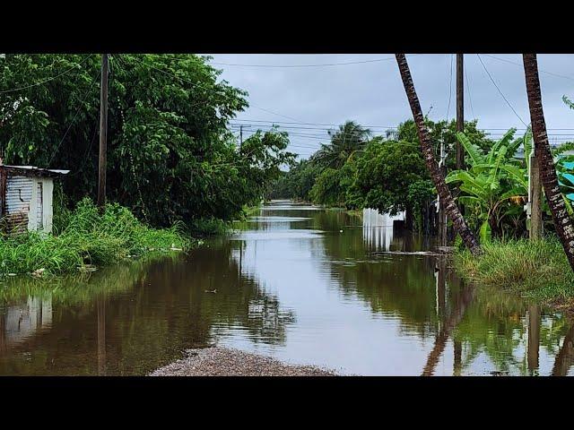 Tropical Storm  Nadine- Corozal, Belize, After its Passing.