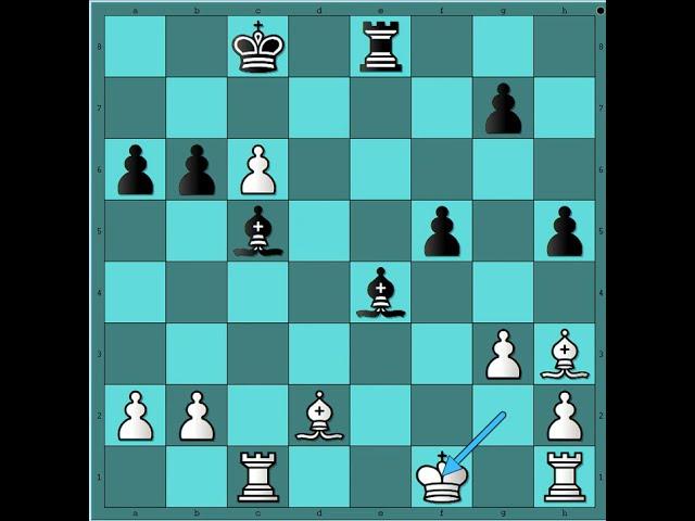 Neverovatni udar Lovackog para  RAKIĆ vs NEMET #3256