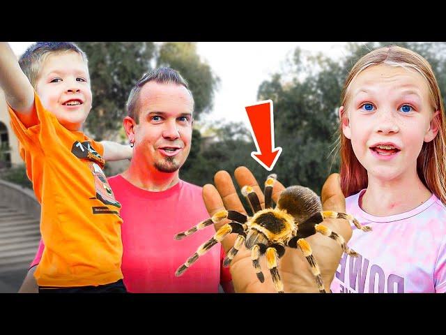 We Get a New Pet Tarantula!!!