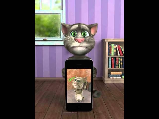 Talking Tom Plays Talking Tom 2