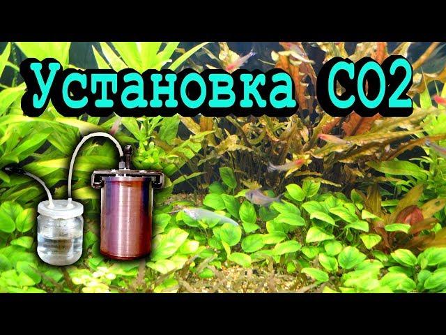 Установка СО2 своими руками в аквариум (Брагогенератор)