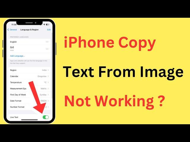 How To Fix iPhone Live Text (Copy Text From Image) Not Working Problem