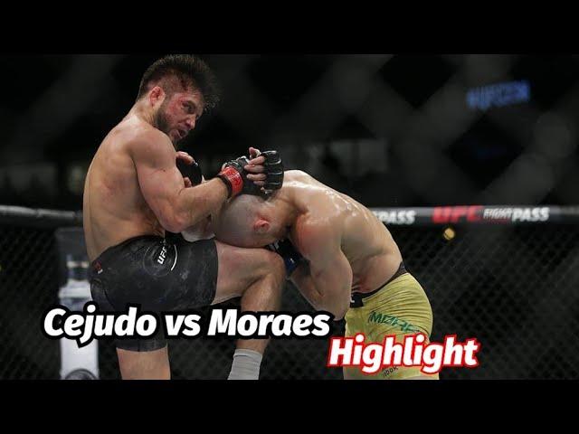 Лучшие Моменты Генри Сихудо vs Марлон Мораес / Highlight  Cejudo vs Moraes