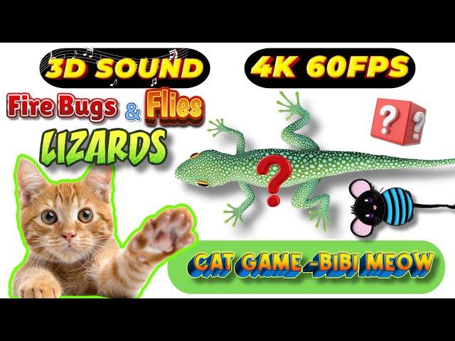 CAT GAMES TOM TV & BiBi | Ultimate Compilation Catching The LIZARDS, Flies, FireBugs11 HOURVol 102