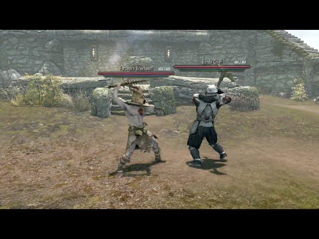 Skyrim Battles - Bandit Chief vs. Frost Troll, Thief, Forsworn Briarheart, and more