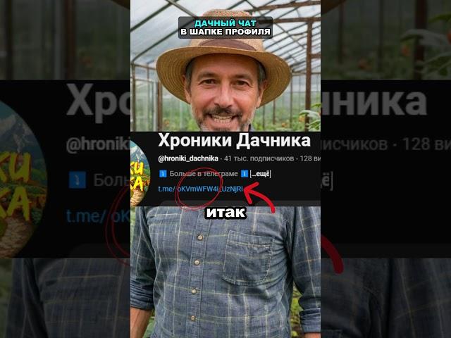 Сорняки засохнут за сутки без химии, если применить это средство #огород #сад #дача