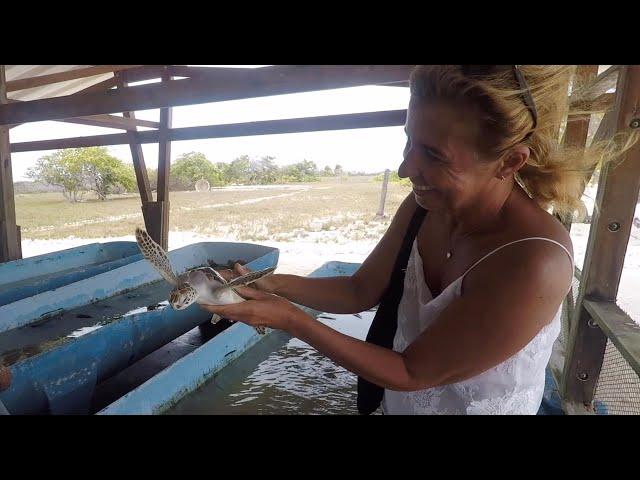 Abandoned in PARADISE. Sad moments on our journey.  Sailing Ocean Fox Ep 69