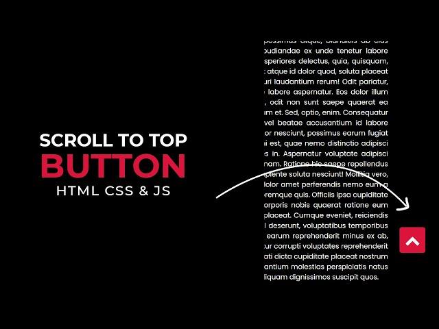 Scroll To Top / Back to Top Button using HTML CSS and javascript