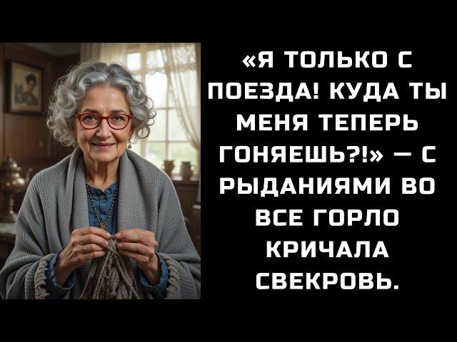 «Я ТОЛЬКО С ПОЕЗДА! КУДА ТЫ МЕНЯ ТЕПЕРЬ ГОНЯЕШЬ?!» — С РЫДАНИЯМИ ВО ВСЕ ГОРЛО КРИЧАЛА СВЕКРОВЬ.