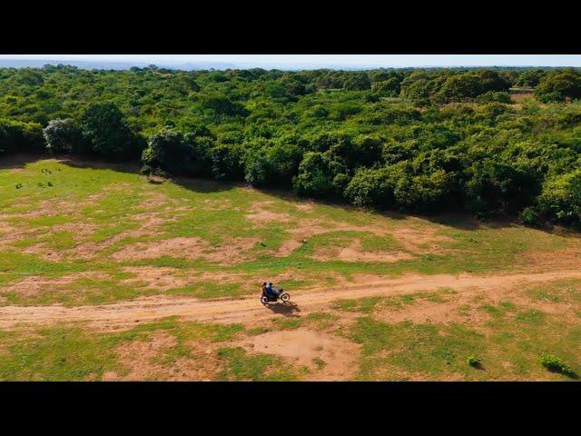 Celebrating Beekeeping: A Global Story - Brazil