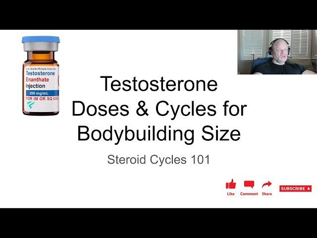 Testosterone Cycle Basics - Anabolic Bodybuilding