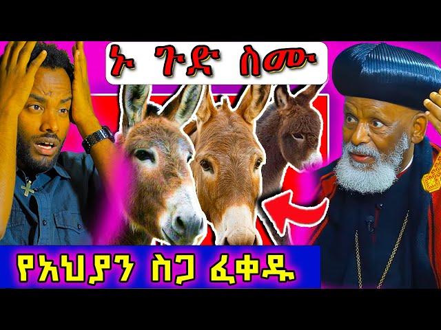 ጉድ ነው ! የአህያ ስጋ ብሉ ችግር የለዉም አሉ!! #ethiopian #ortodox #eritrea @nsiebho