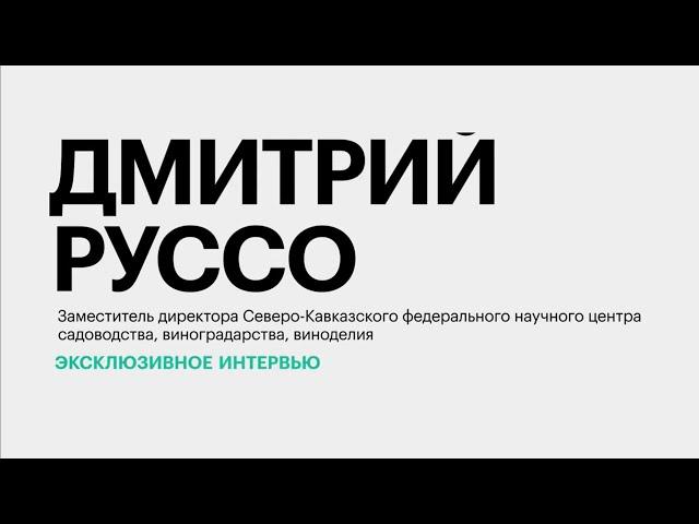 Точки роста виноградарства на Юге России || Дмитрий Руссо