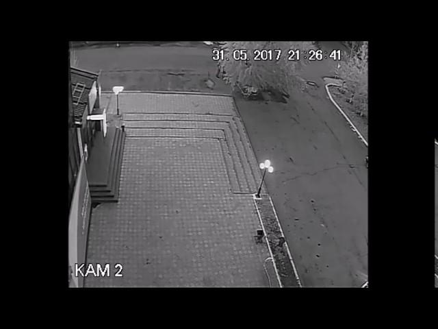 Табиғаттану. Түнгі көбелектер..!