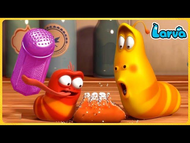 Larva Full  Episode | 1 Hour Compilation  Cartoons - Comedy - Comics  New Animation Movies 2022