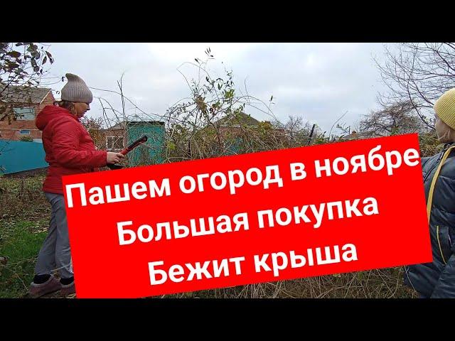 Вспахали огород/Большая, нужная покупка/Переезд на юг/Plowed a vegetable garden/