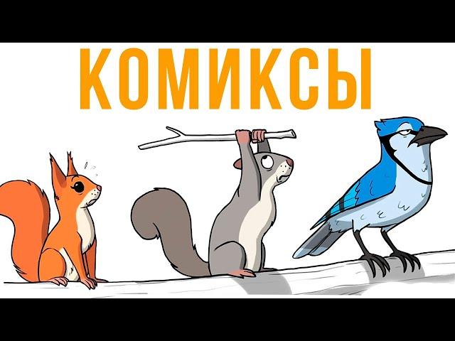 Комиксы. Белка-истеричка | Мемозг #376