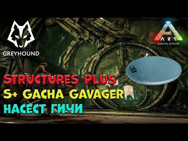  S+ Gacha Gavager - Насест гачи