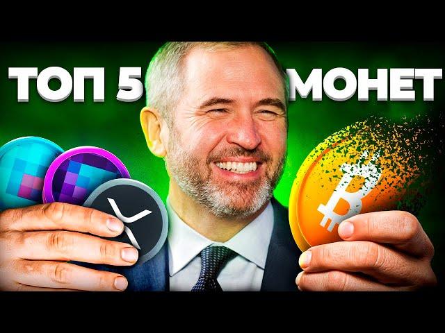 This is the Best Altcoins for December that Are Worth Buying! Cryptocurrency for Beginners