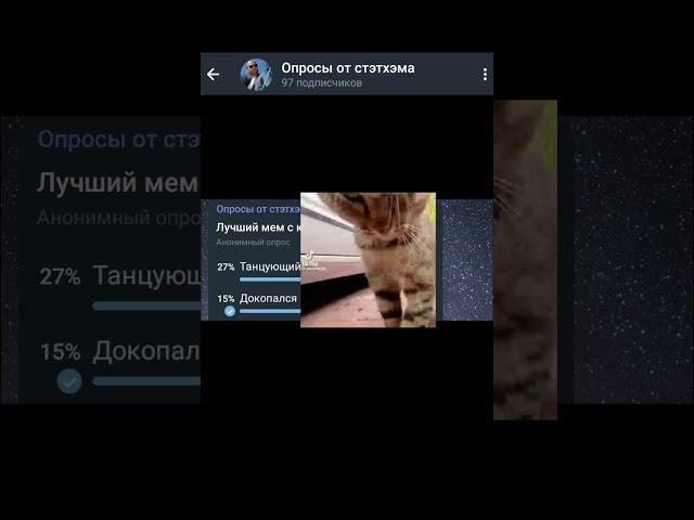 лучший мем с котом?? (голосуй с нами по сыллке на ютубе)