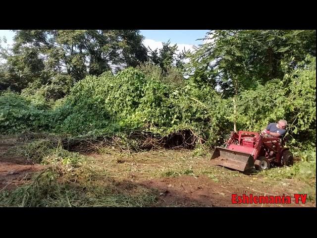 Wheel Horse C160 with a Johnson Loader