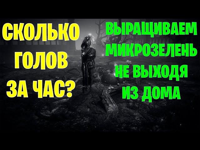 Воспоминания Эйнара - Фарм семечек, сада. Какой профит Path of exile 3.21 Горнило