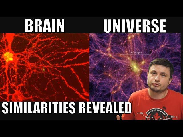 Structure Of The Brain VS. The Universe - Actual Similarities Found