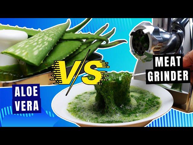 EXPERIMENT ALOE VERA VS MEAT GRINDER