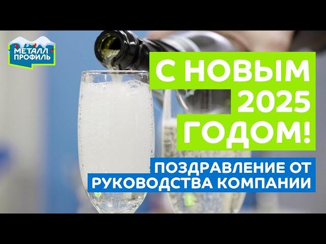 "Металл Профиль" подводит итоги 2024 года. Поздравление с Новым Годом от руководства Компании.